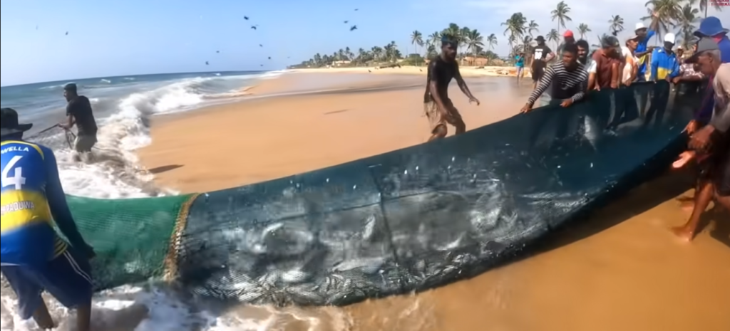 Pakistani Fisherman, 